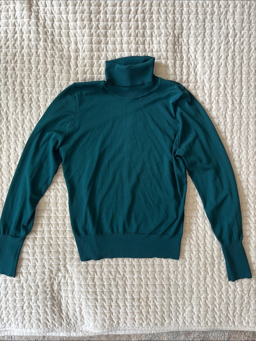Express Teal Turtleneck Sweater
